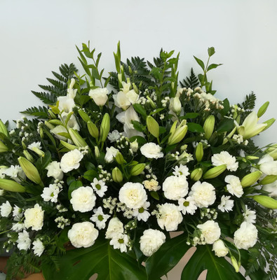 Floristeria y Vivero Agaplan